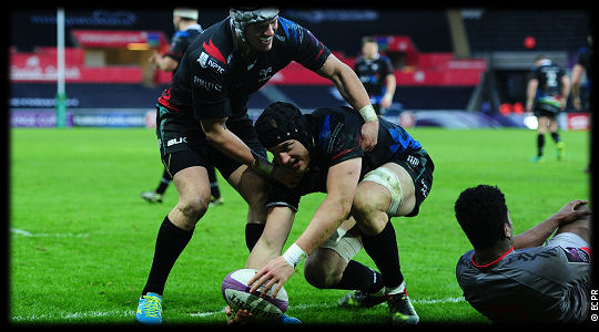 Ospreys Lyon